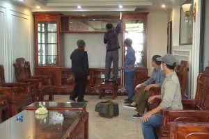 tủ gỗ bị mối mọt